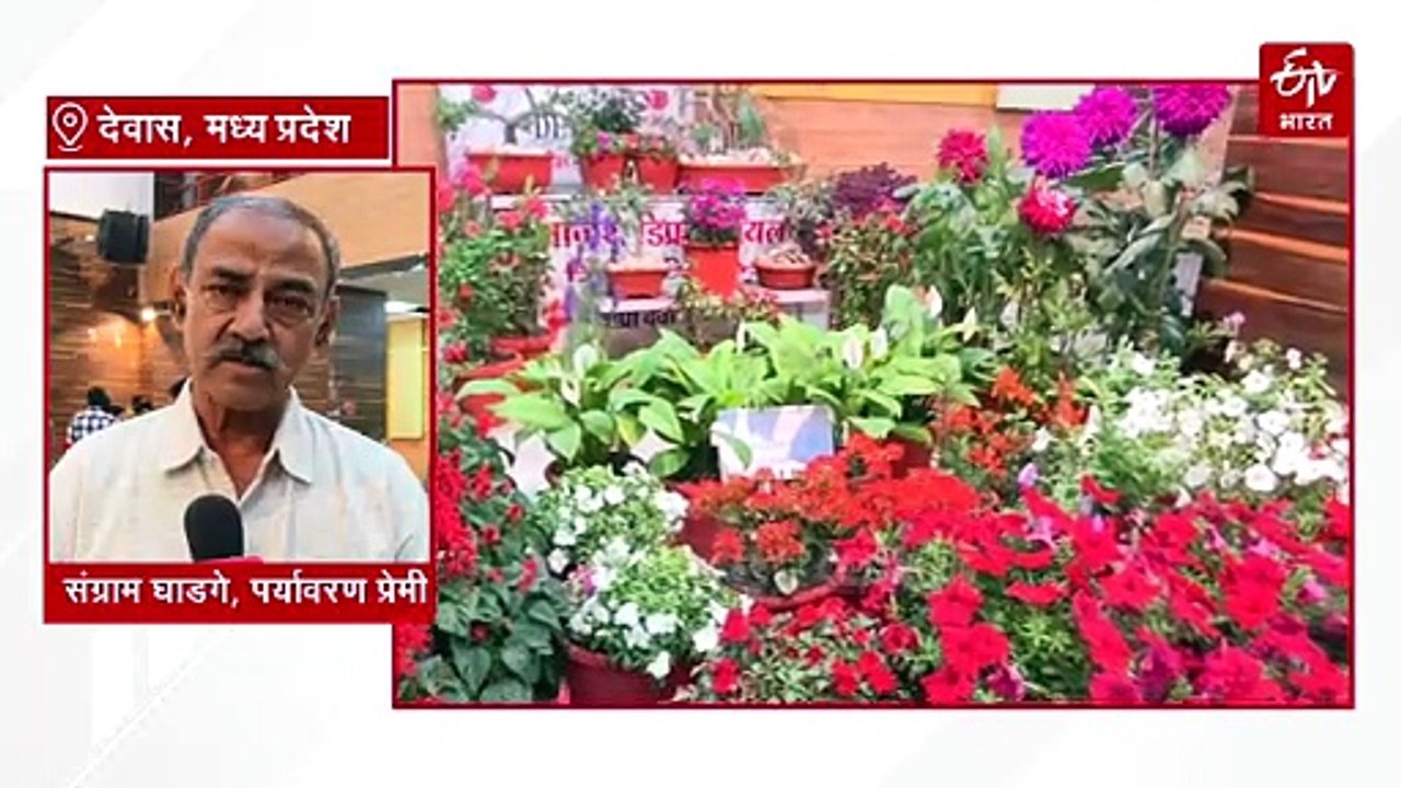 देवास में सजा मिनिएचर जंगल, गुलाब से बोनसाई तक फूलों से महका मेला