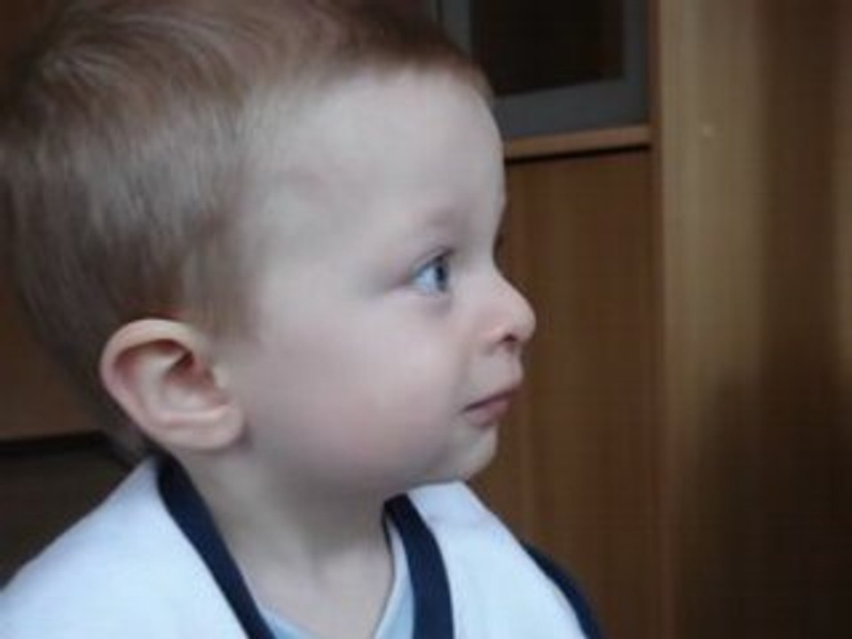 Silly le petit phoque