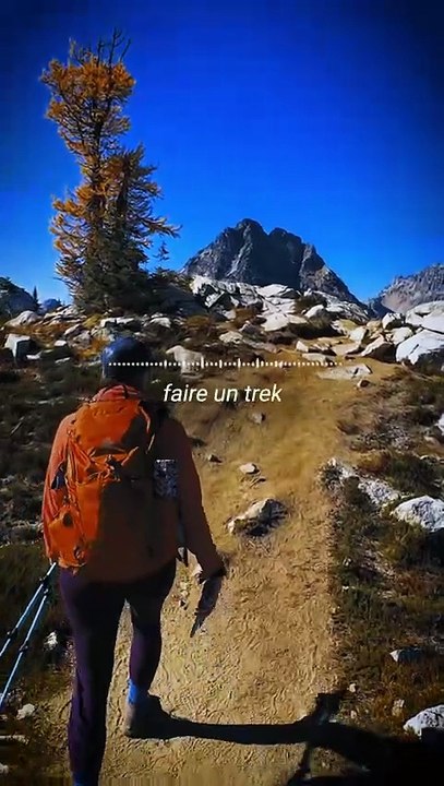 Histoire de backpackers