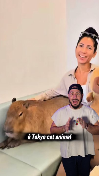 À Tokyo ils exploitent 😮⚡️