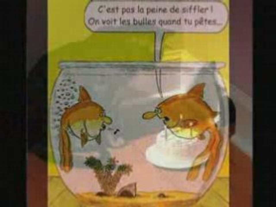 Humour Comique Rires