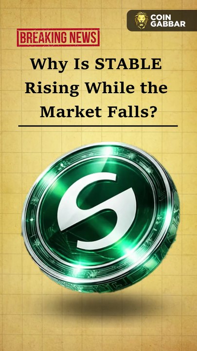 STABLE Jumps 25% Amid Market Weakness — What’s Driving the Rally?
