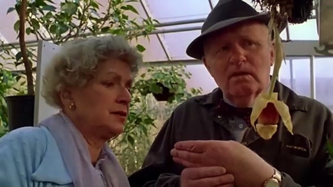 Film Breeding Insect (FULL MOVIE) Creature Feature I  Horror Movie I Steve Railsback