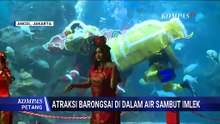 Seru! Underwater Barongsai Meriahkan Imlek 2026 di SeaWorld Ancol | KOMPAS PETANG