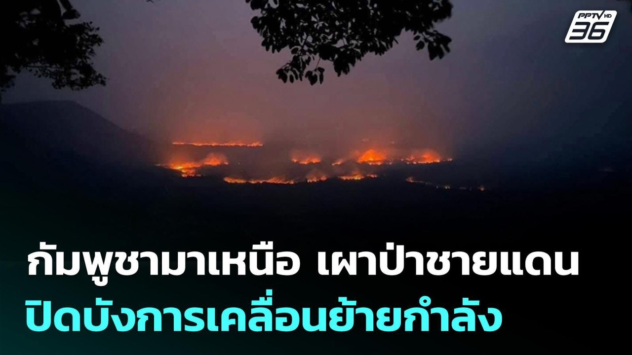 กัมพูชามาเหนือ เผาป่าชายแดน ปิดบังการเคลื่อนย้ายกำลัง | เข้มข่าวค่ำ | 16 ก.พ. 69