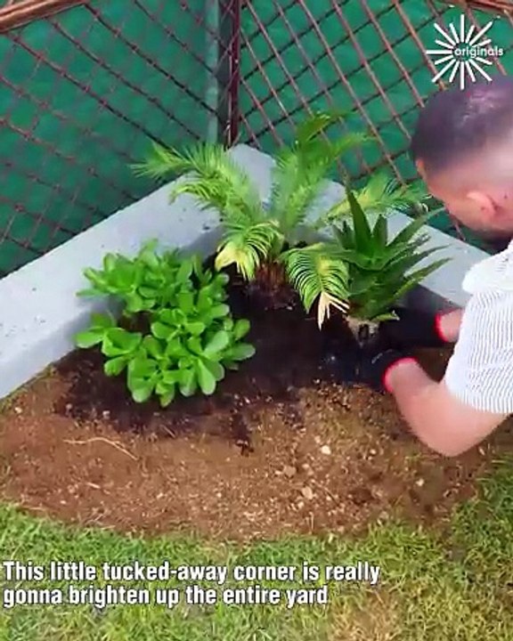 Elevate your garden with this simple DIY plant corner🌱🌿