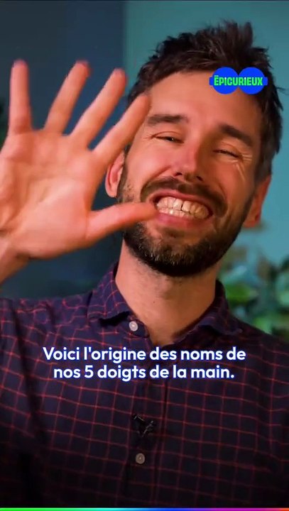 Les noms des DOIGTS