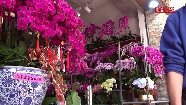 Hong Kong, mercato dei fiori affollato alla vigilia del Capodanno Lunare
