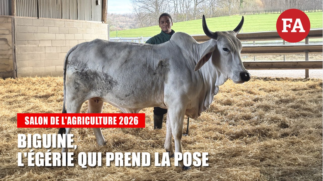 SIA 2026 : Biguine, l'égérie qui prend la pose