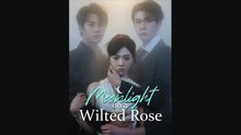 Moonlight on a Wilted Rose (Moboreels)