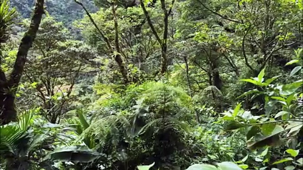 Costa Rica  : Volcans