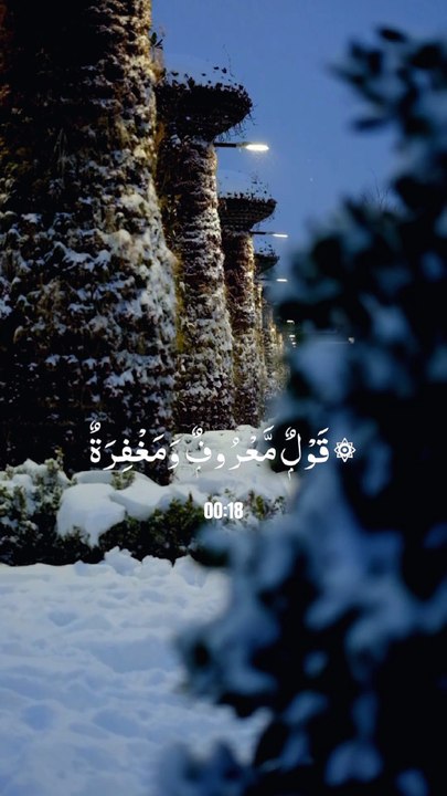 🌿 Surah Al-Baqarah (2:263) — سورة البقرة✨ Kind Words Are Better Than Hurtful Charity 🤍💬 #love #Quran #viral #shorts #trending #youtubeshorts #fyp #short #SurahAlBaqarah #Charity #Akhlaq #IslamicReminder