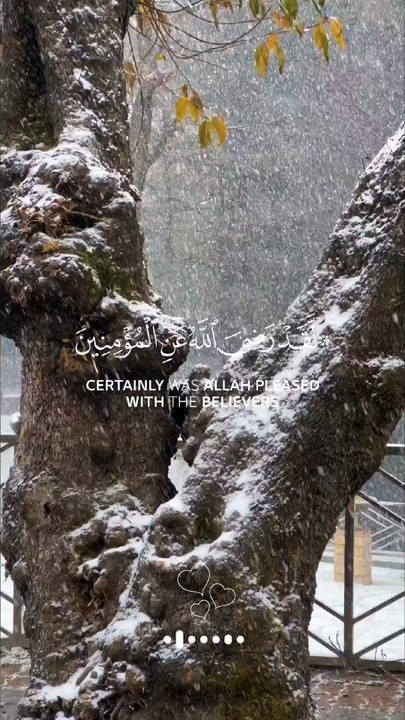 🌿 Surah Al-Fatḥ (48:18) — سورة الفتح ✨ Allah Was Pleased With Them 🤍🌳 #love #Quran #viral #shorts #trending #youtubeshorts #fyp #short #SurahAlFath #BayatRidwan #Sahaba #IslamicReminder