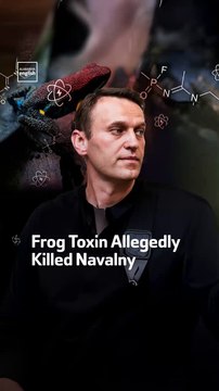 Frog Toxin Allegedly Killed Navalny