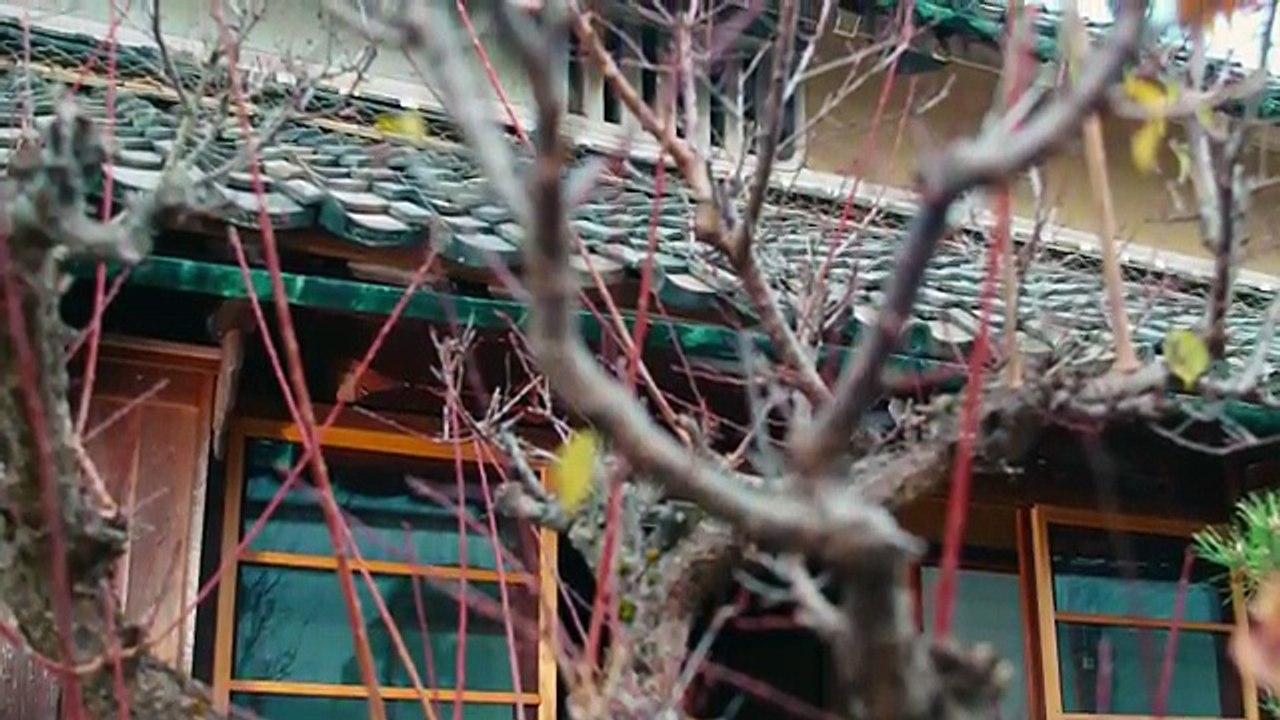 ドラマ【アリスさんちの囲炉裏端】OP主題歌  LUV K RAFT『Alice』MV