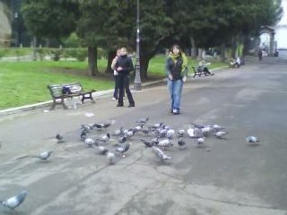 Camille court pigeon