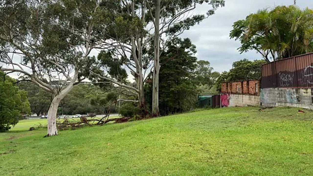 M6 motorway reservation at Kirrawee