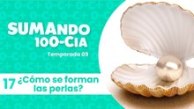 17 ¿Cómo se forman las perlas?