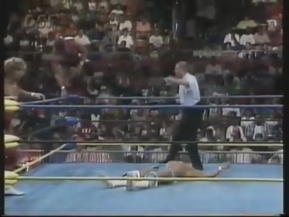 Pretty Wonderful (Paul Orndorff Paul Roma) vs. Brian Pillman Johnny B. Badd - WCW - 1994