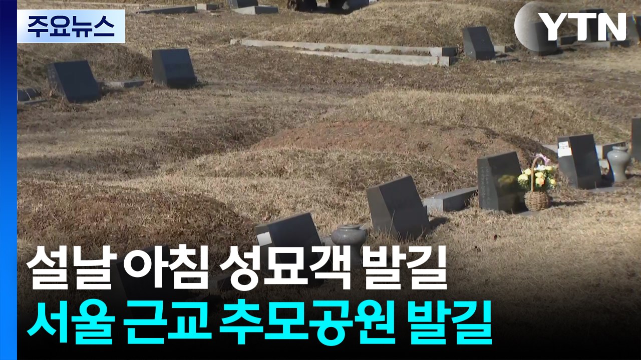 설날 아침 성묘객 발길...서울 근교 추모공원 발길 / YTN