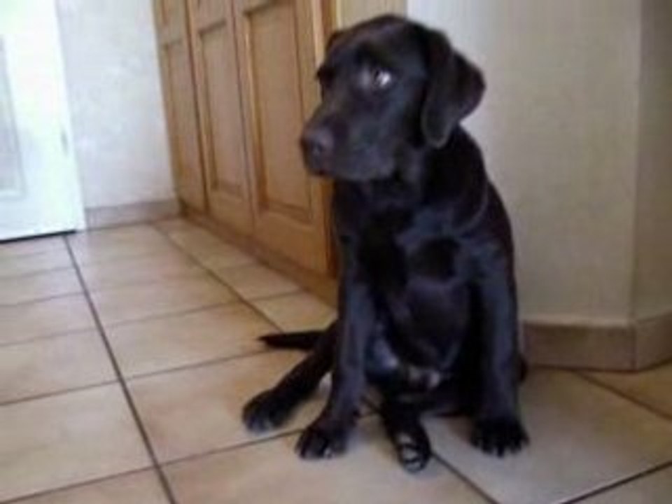 Diego