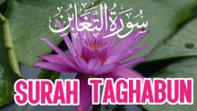 Surah at tagabun ki tilawat