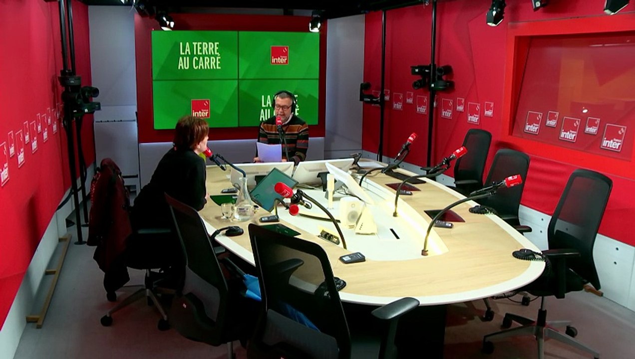 Yamina Saheb : "La sobriété remet en question du système politico-économique" - La terre au carré