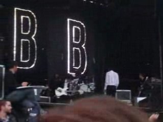 BB Brunes papillons de nuit 2008 (2)