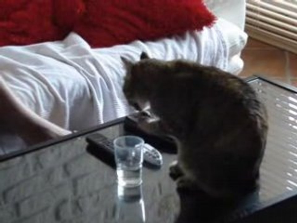 Praline qui boit