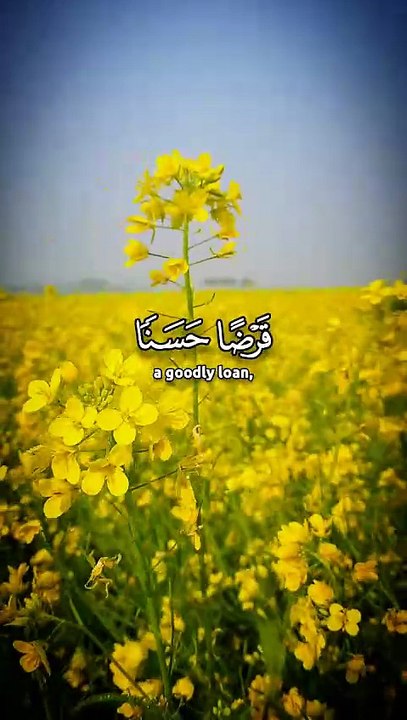 ﴿ إِنْ تُقْرِضُوا اللَّهَ قَرْضًا حَسَنًا يُضَا...