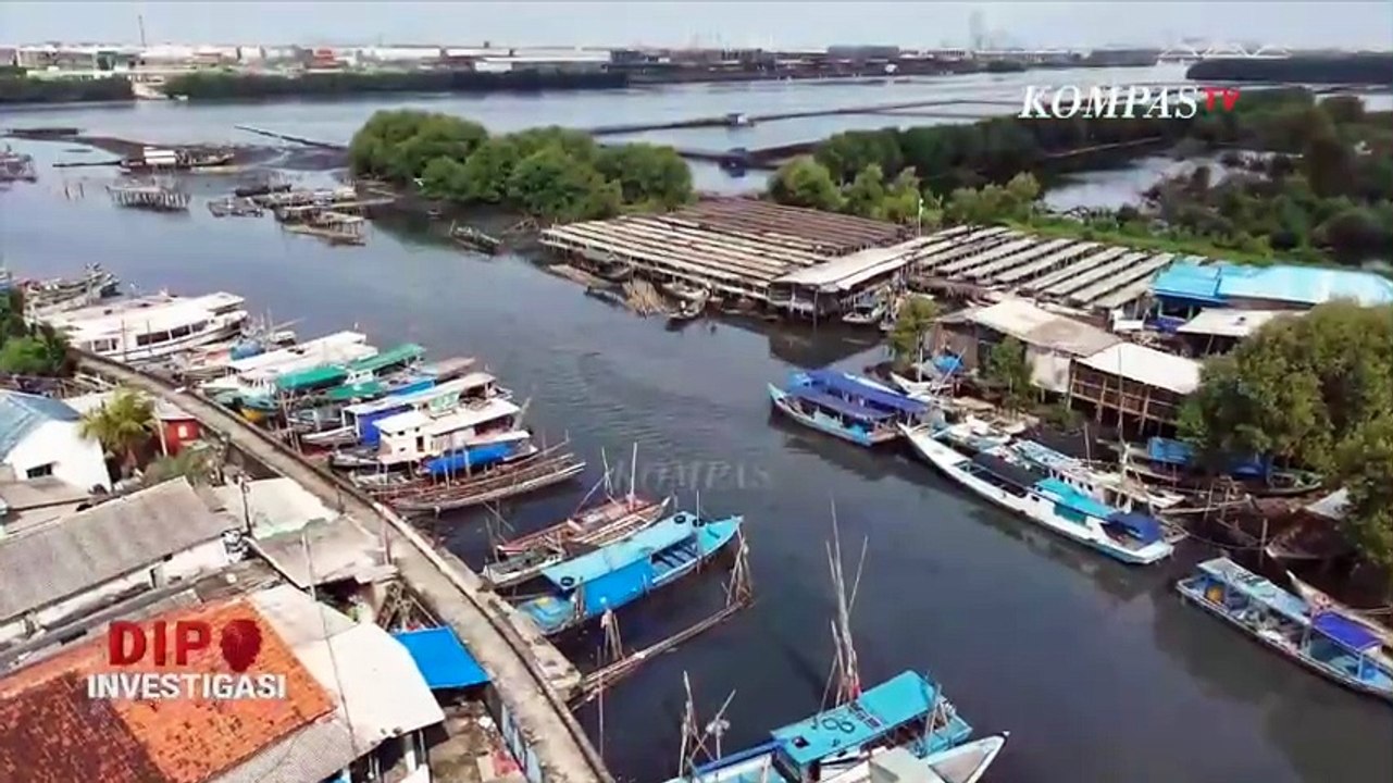 Aktivis Soroti Dampak Giant Sea Wall, Kerusakan Ekologis hingga Beban Fiskal | DIPO INVESTIGASI