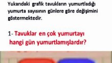 Veri Toplama ve Değerlendirme – 4. Sınıf Matematik