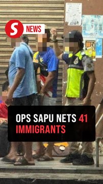 Johor Immigration nabs 41 immigrants through Ops Sapu