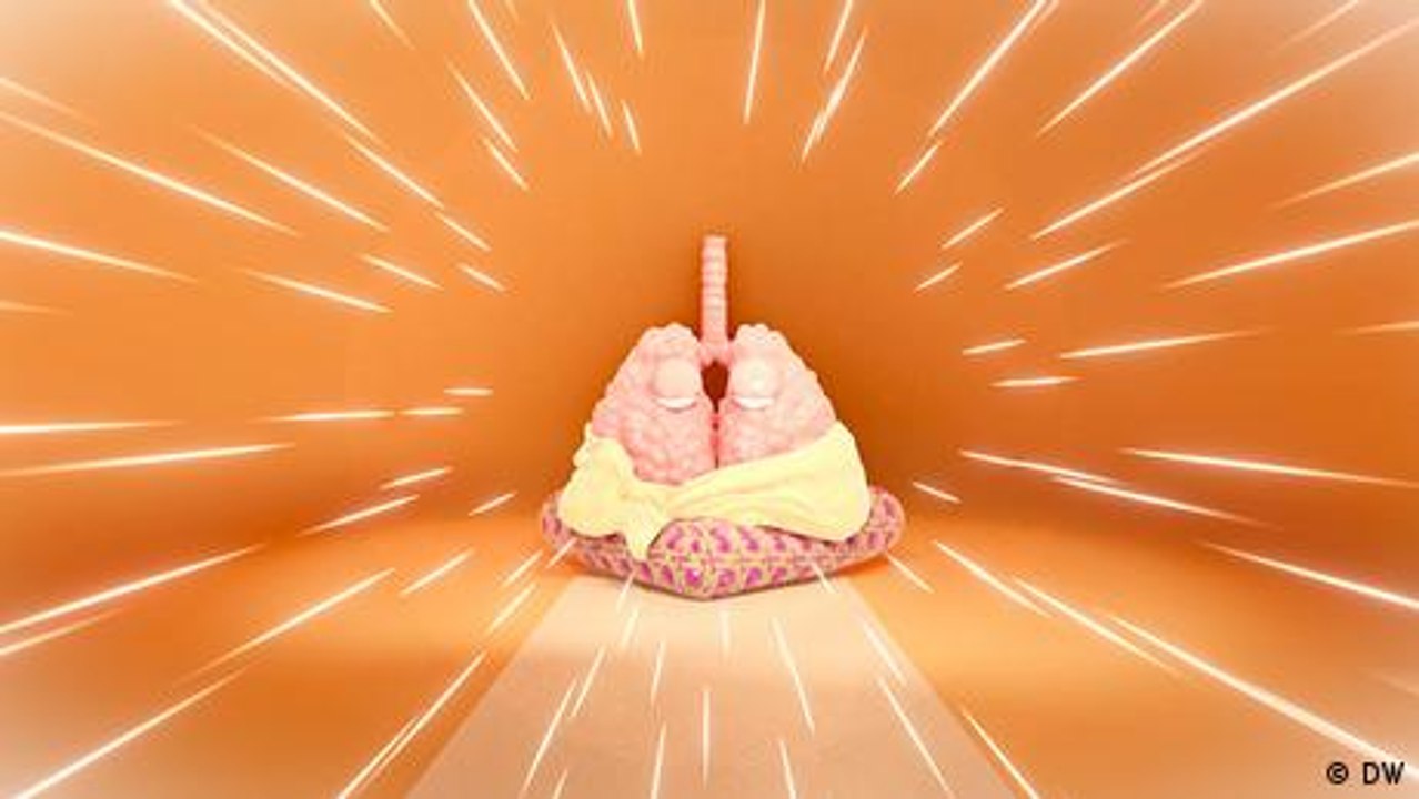 Die Lunge gibt den Takt an!