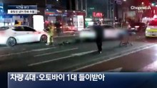 [사건을 보다]쓰러진 반려견…구급대원이 ‘심폐소생’