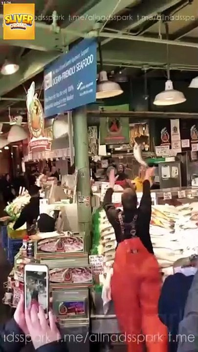 The Homeless Fishmonger Is My Billionaire Husband Full Movie HD I Best Drama ShortFilms Hot Billionaire CEO Emotional Exciting Forbidden Love Romance 2025 [Full Movie]