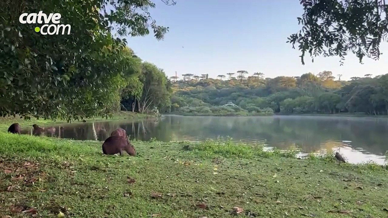 Terça-feira de Carnaval será de temperaturas elevadas em várias cidades do Paraná