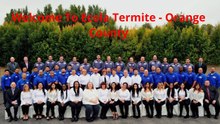 Ecola Termite Inspection in Orange County, CA | 92805