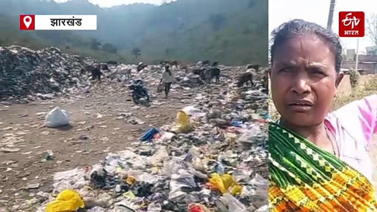 चुनावी समर में कचरे से लोगों को मिलेगी मुक्ति या मुद्दा बनकर रह जाएगा सॉलिड वेस्ट मैनेजमेंट! जानें, घोघी बस्ती का हाल