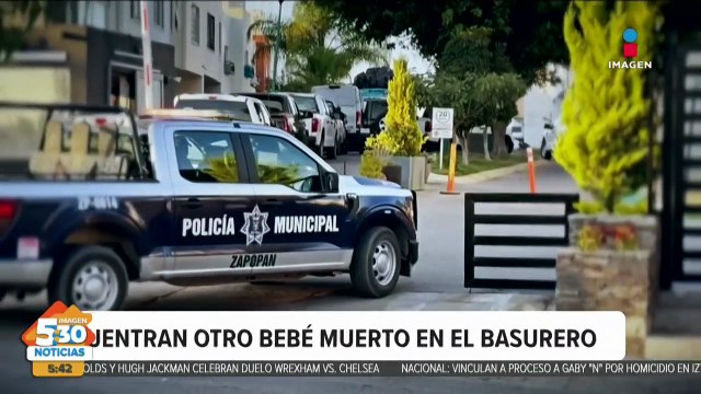 Encuentra a recién nacido sin vida dentro de bolsas en Zapopan