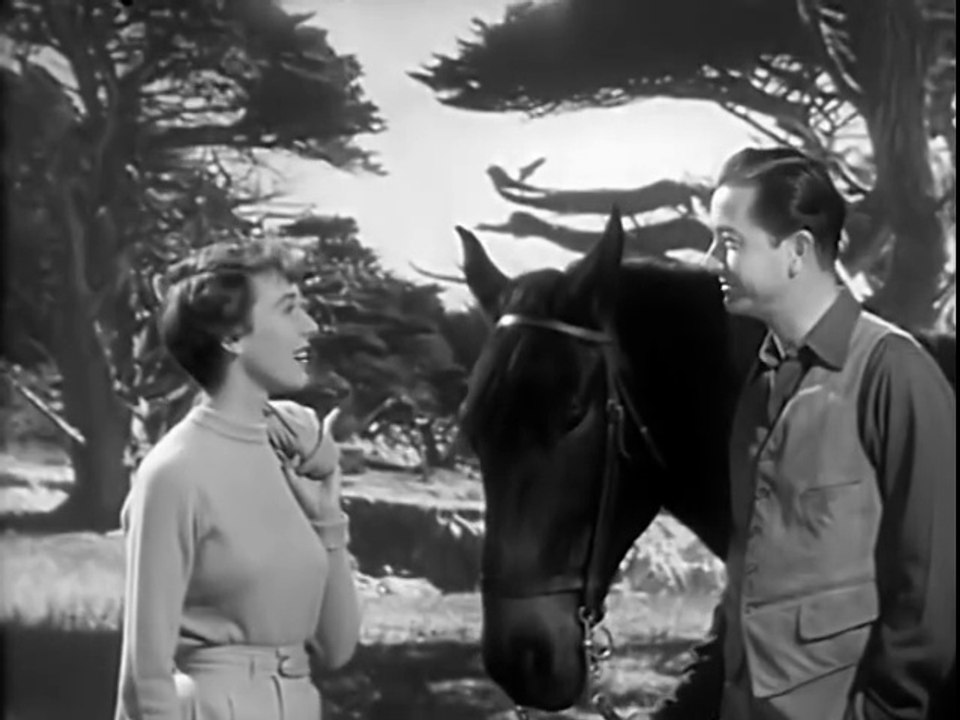 The Second Woman 1950 ★★★ Film-noir/Mystery (CC) Robert Young