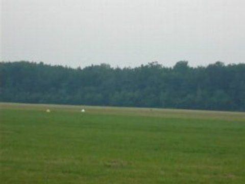 un rafale, le 31.05.2008 a la ferté alais