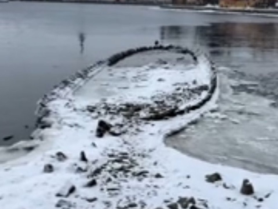 Schiffswrack vor stockholm aus dem wasser aufgetaucht