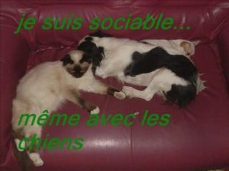 Clohé