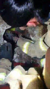 Bomberos de #Durango rescatan a un cachorrito