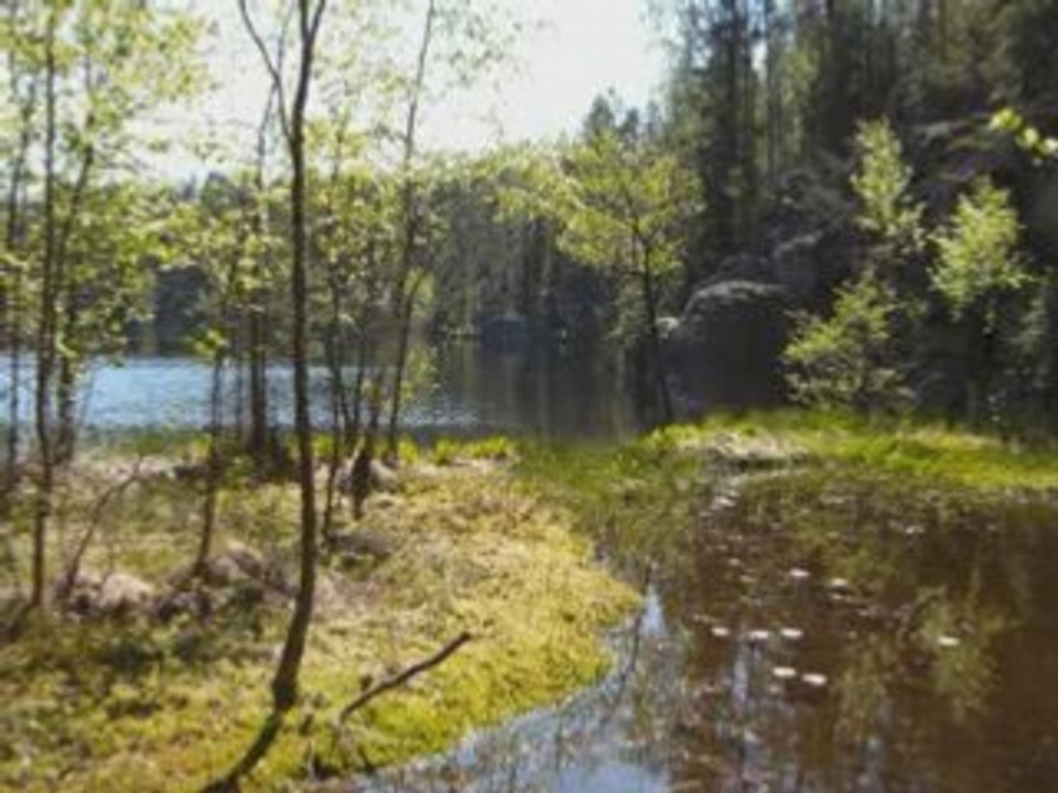 Nuuksio