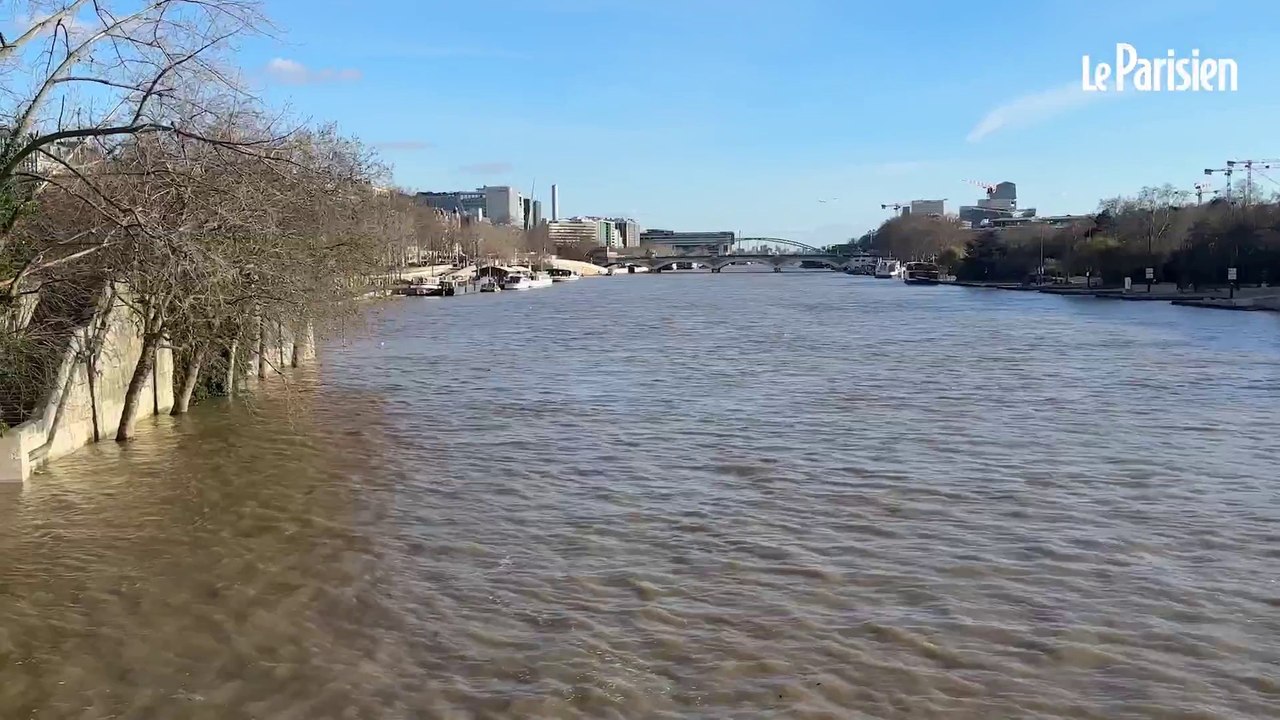 Crue de la Seine : des promeneurs bravent la fermeture des quais à Paris