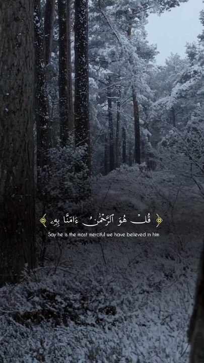 🌌 Surah Al-Mulk (67:29–30) — سورة الملك ✨ Who Controls Your Mercy… and Your Water? 💧🤍 #Quran #SurahAlMulk #Tawakkul #Reflection #IslamicReminder #YouTubeShorts #Viral