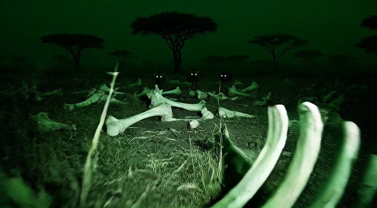 If You Hear Laughing… Run“Some sounds don’t mean safety. Some sounds mean you are already too late.”