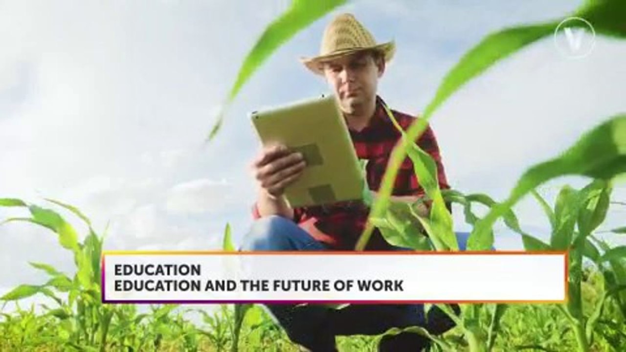 VTNews D3 905  Stacey BinionInnovation Editor, VT NEWS